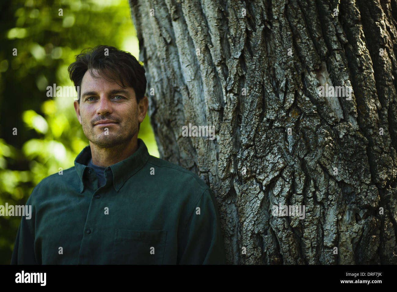 Colorado USA uomo in piedi dal grande albero nodose corteccia nervata Foto Stock