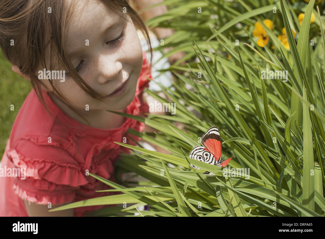 USA Utah giovane ragazza guardando a farfalla colorata erba Foto Stock