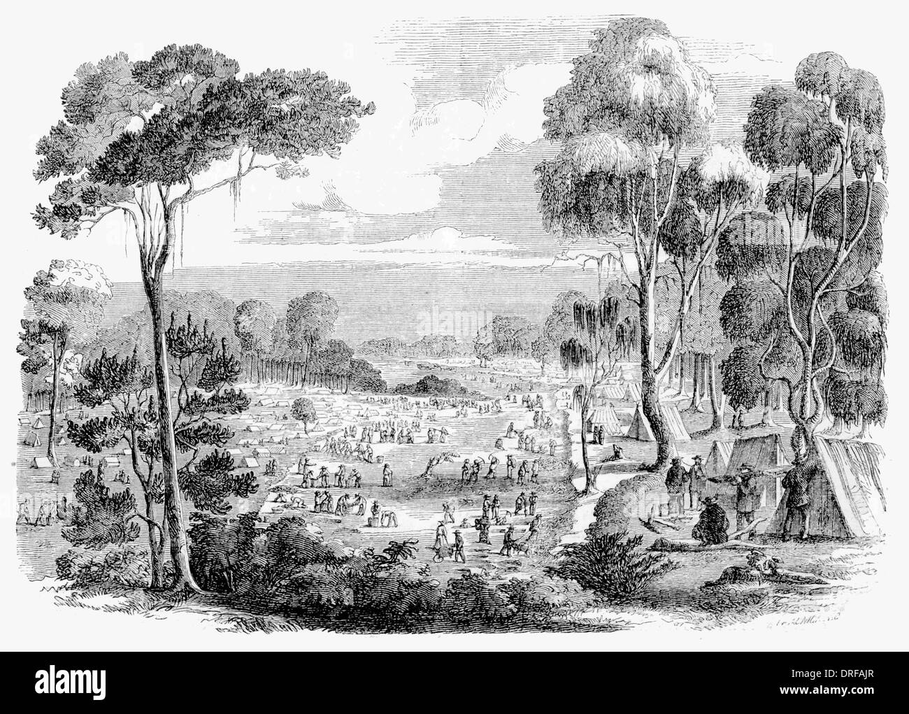Australia Forest Creek, a metà strada tra il centro di scavi e punto d'Oro 1851 Foto Stock