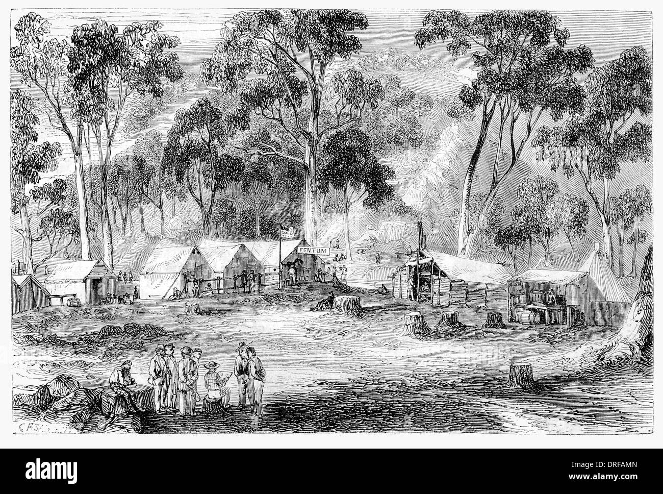 Australia Forest Creek scavi Post office e la Argus Office 1851 Foto Stock