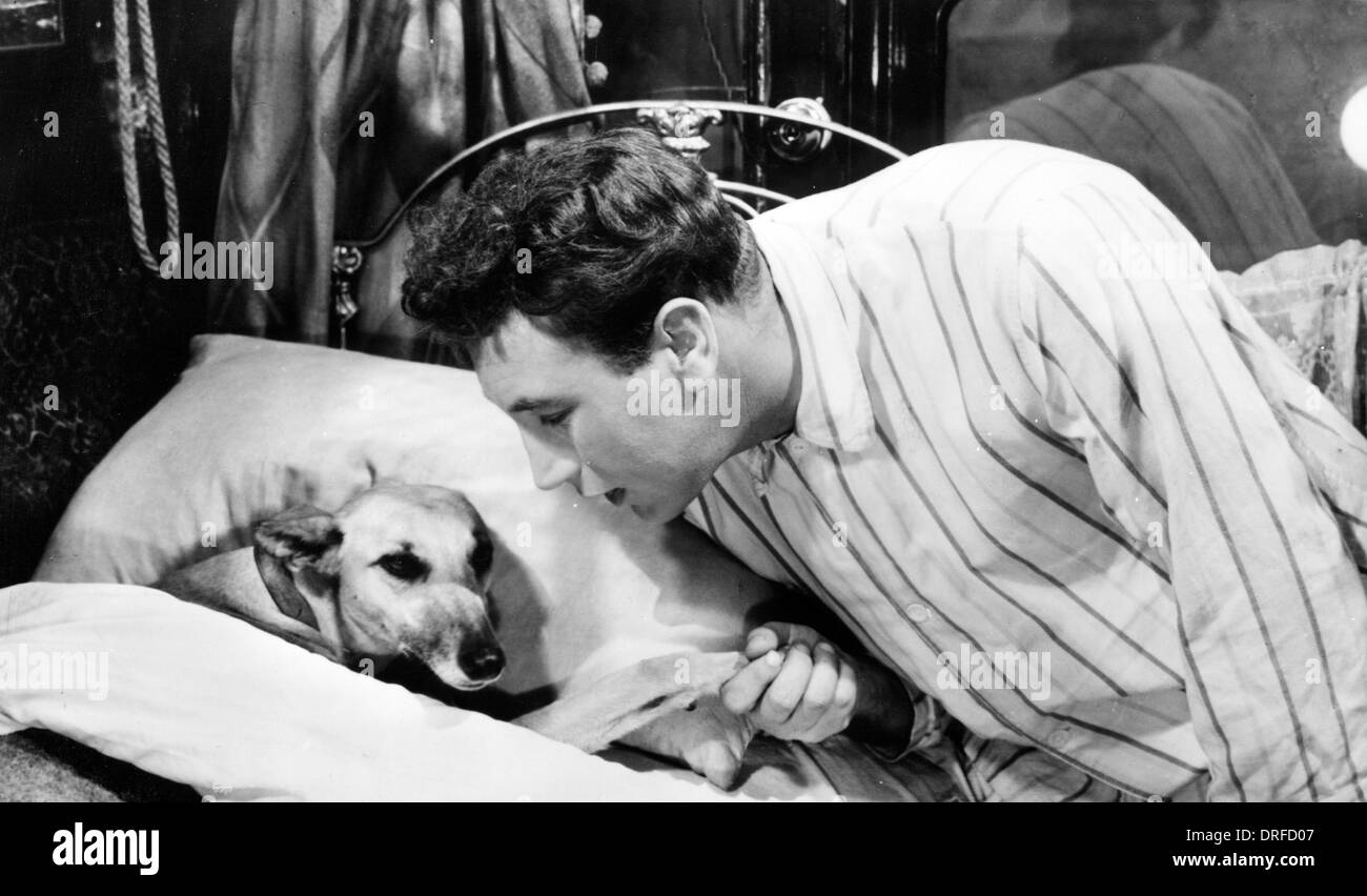 Salti di gioia 1956 Rank film con Frankie Howerd Foto Stock