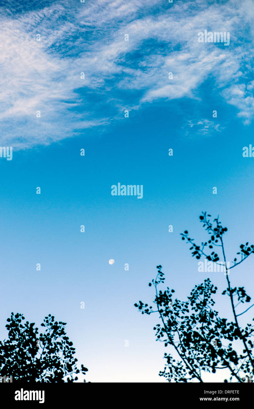 Luna tramonta all'alba, Central Colorado, STATI UNITI D'AMERICA Foto Stock