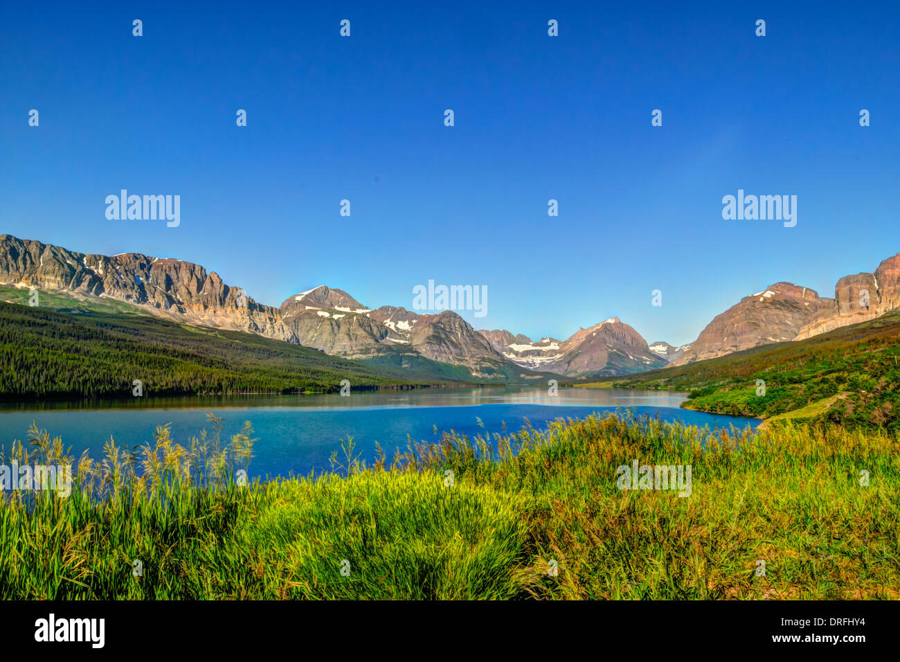 Vedute panoramiche della montagna, numerosi ghiacciai Parco Nazionale Montana USA Foto Stock