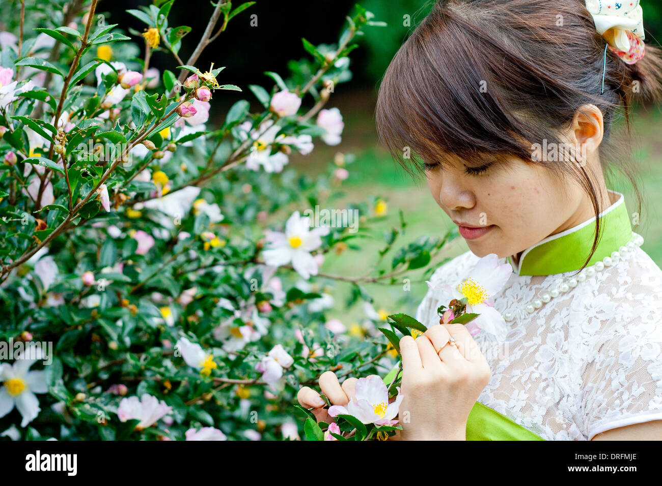 Raccolta dei fiori Foto Stock