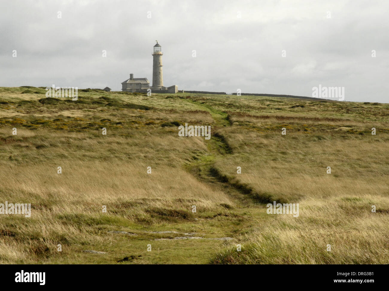 La vecchia luce, Lundy, Devon Foto Stock