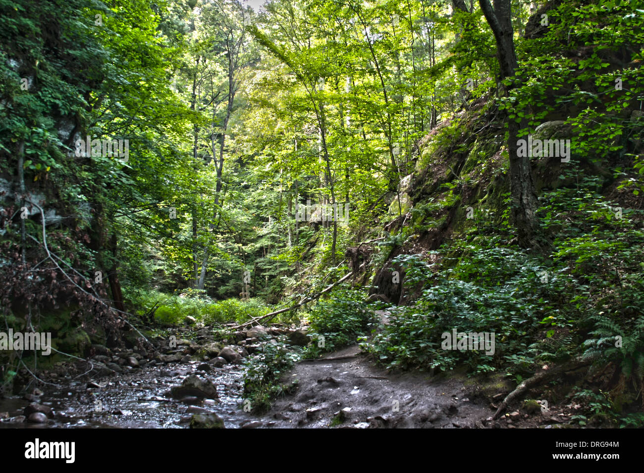 Parfrey's Glen Wisconsin Stato Area naturale dal 1952 Foto Stock