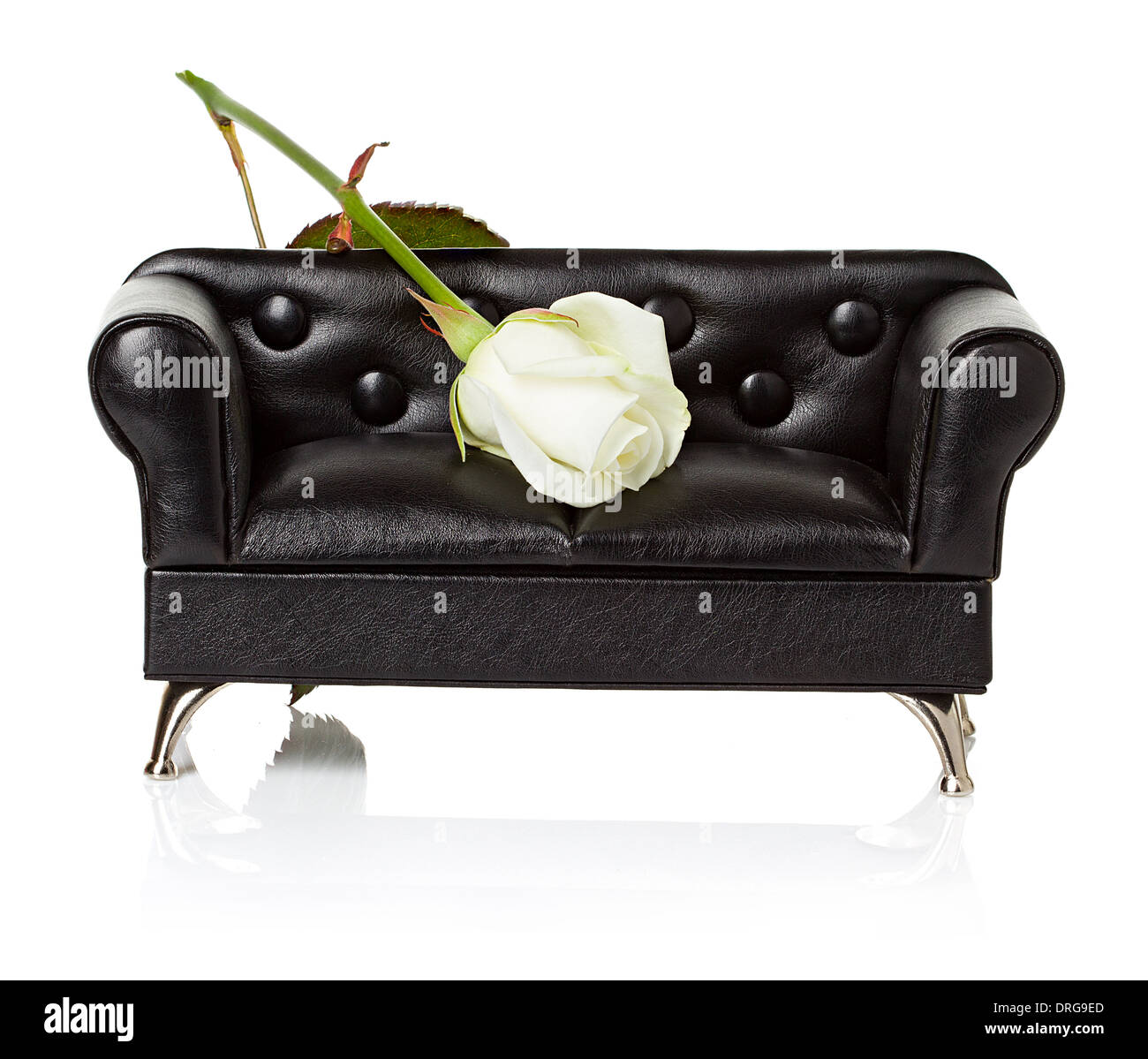 Divano letto, divano con la rosa bianca di close-up isolato Foto Stock