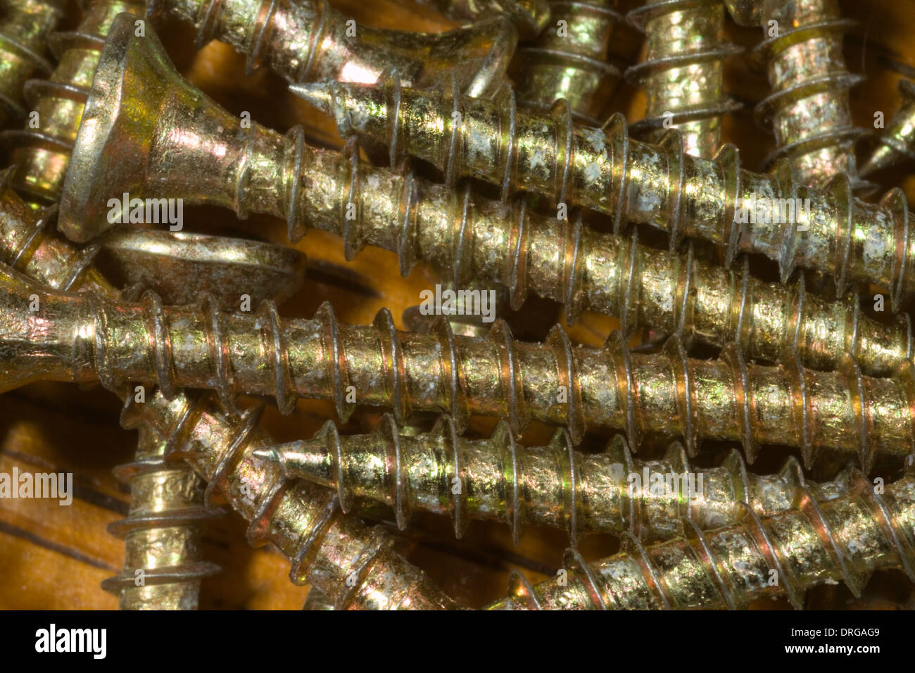 viti per legno Foto Stock