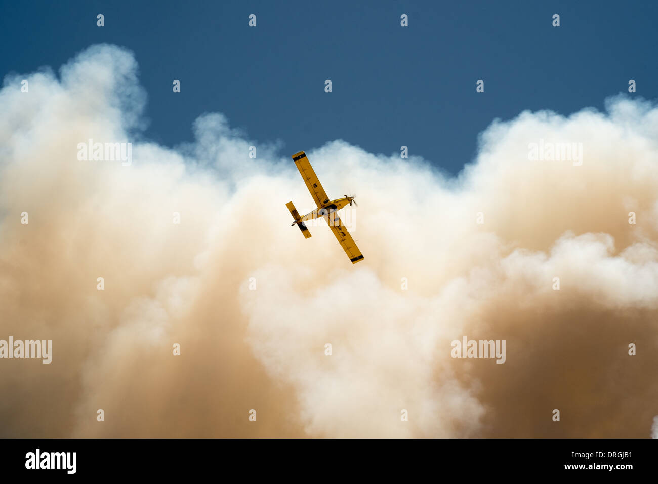 Bombardiere d'acqua Foto Stock