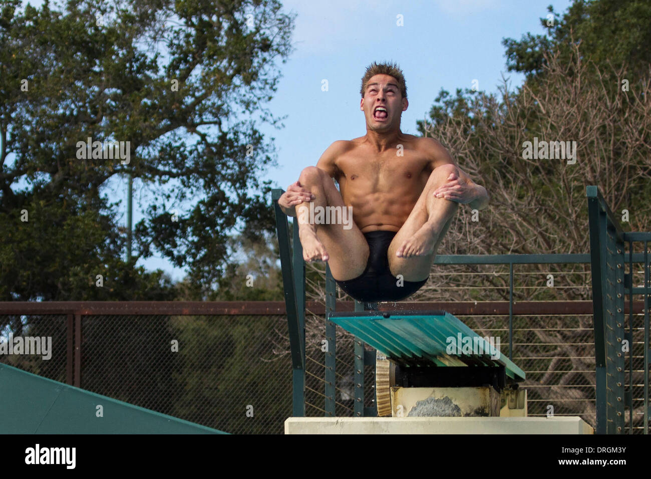 Stanford, in California, Stati Uniti d'America. 25 gennaio, 2014. KRISTIAN IPSEN, di uomini della Stanford Nuoto e Immersioni team, esegue un tuffo in un incontro contro Arizona State University di Avery Aquatic Centre il Sabato, 25 gennaio 2014. IPSEN è un 2012 olimpico medaglia di bronzo nel sincronizzato da 3 metri di Springboard. © Tracy Barbutes/ZUMAPRESS.com/Alamy Live News Foto Stock