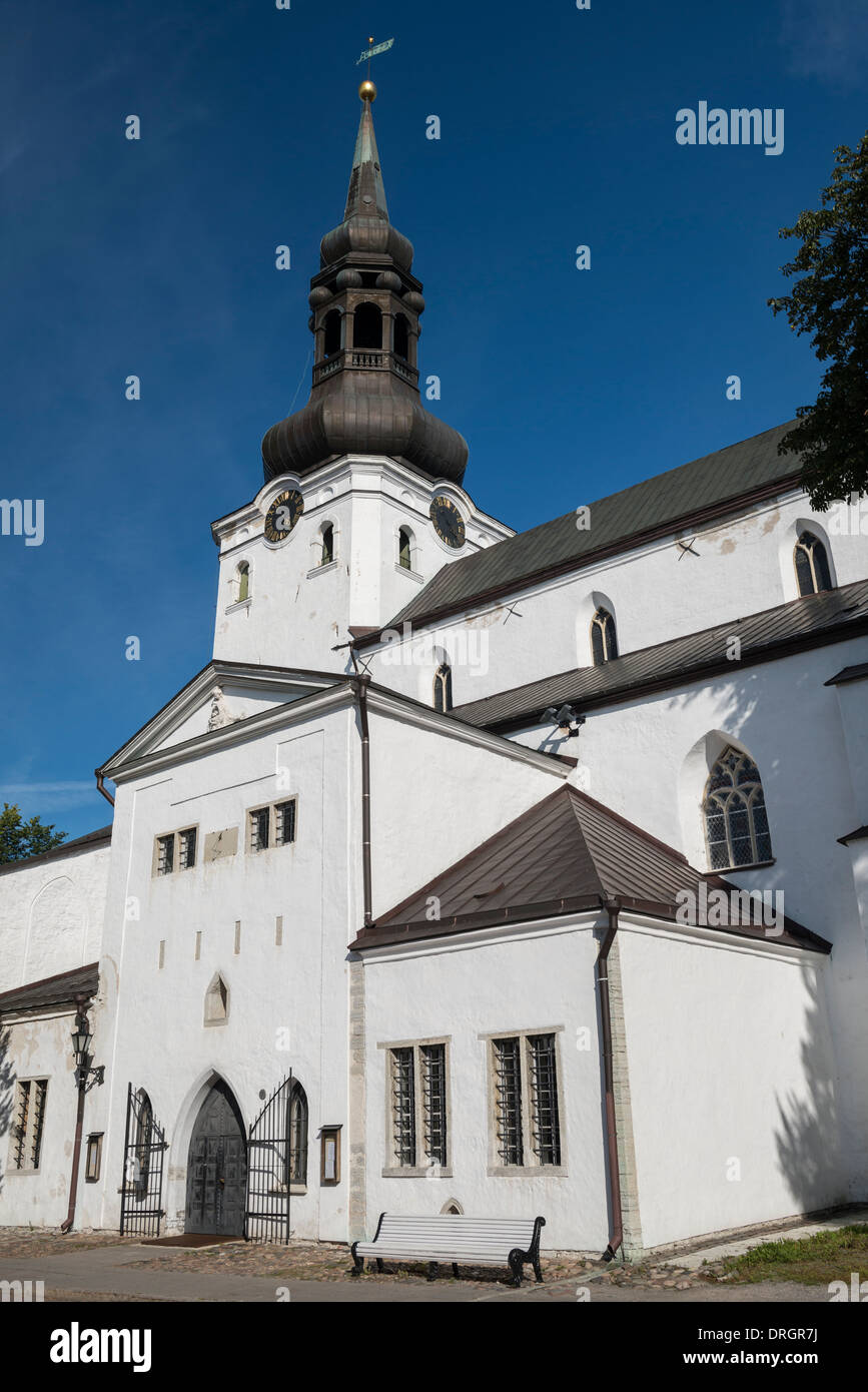 La Cattedrale di St Mary, Tallinn, Estonia Foto Stock