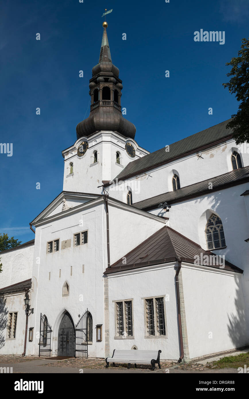 La Cattedrale di St Mary, Tallinn, Estonia Foto Stock