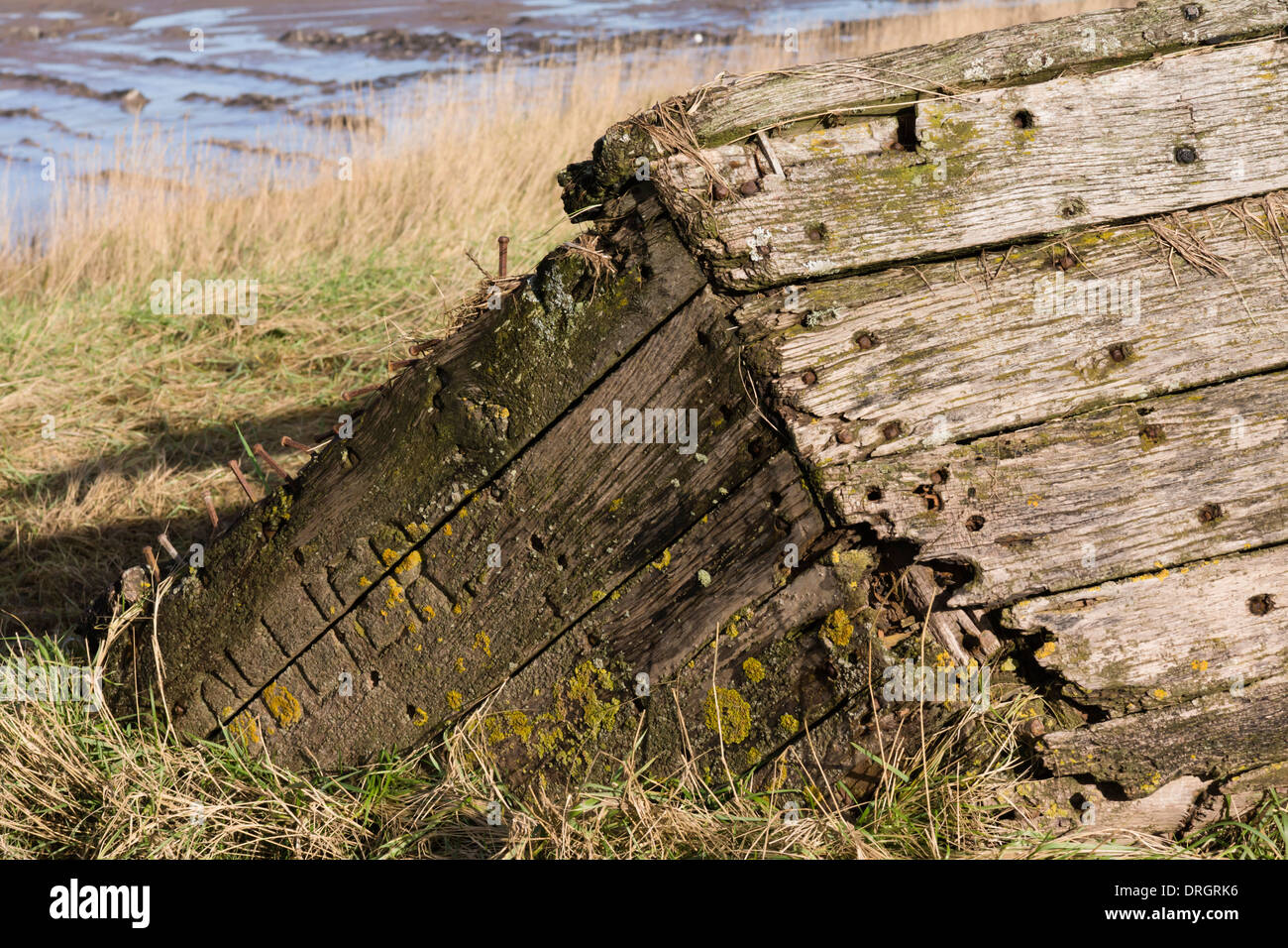 Chiatte distrutto nei pressi del villaggio di Purton Gloucestershire, sulle rive del fiume Severn Foto Stock