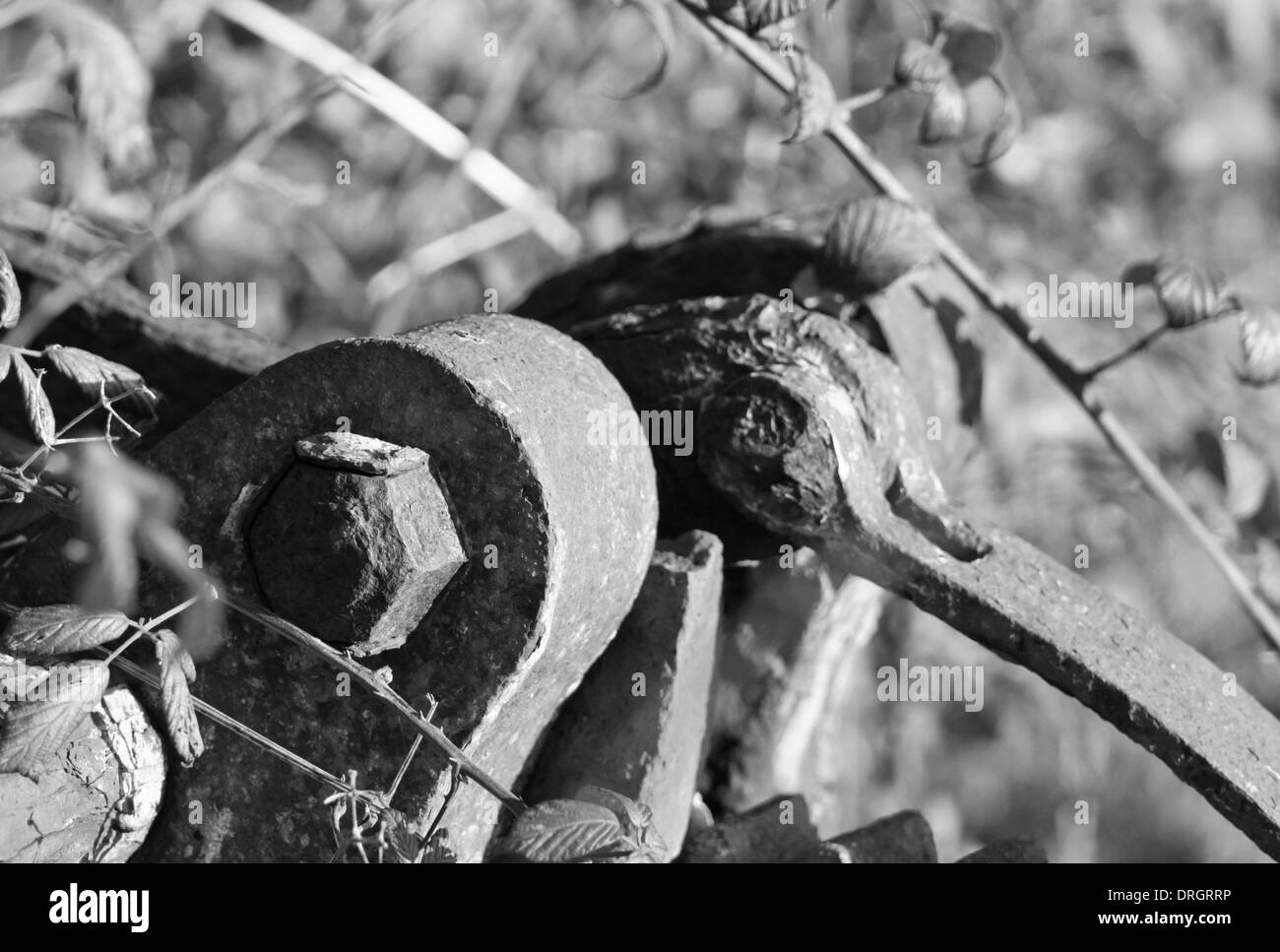 Chiatte distrutto nei pressi del villaggio di Purton Gloucestershire, sulle rive del fiume Severn Foto Stock