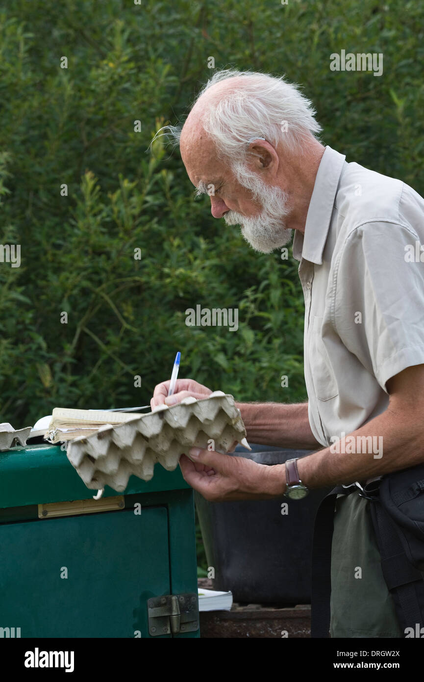 John Bebbighton FRP registrazione cattura falena Preston Montford Shrewsbury Shropshire Inghilterra la mattina presto Foto Stock