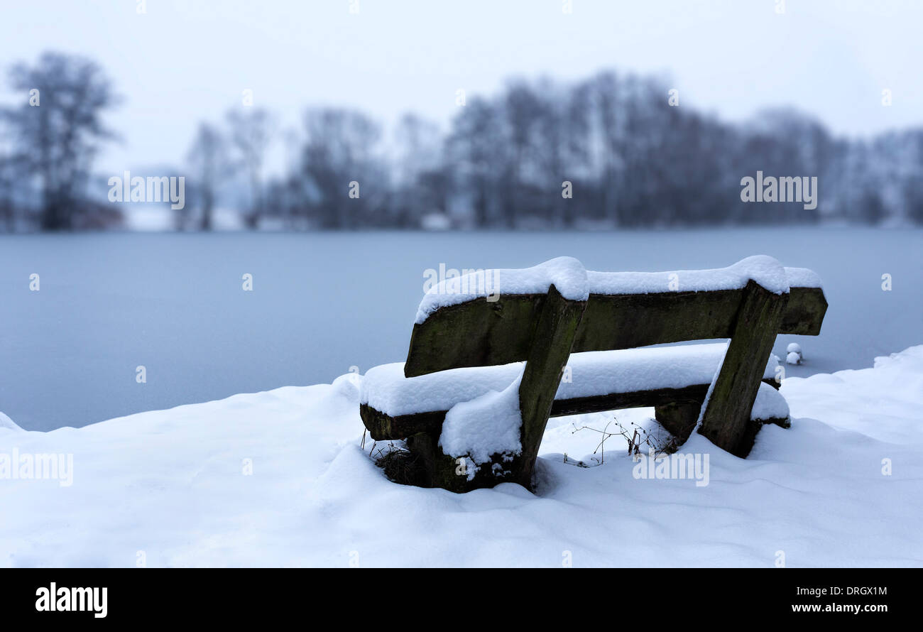 Banco nella neve Foto Stock