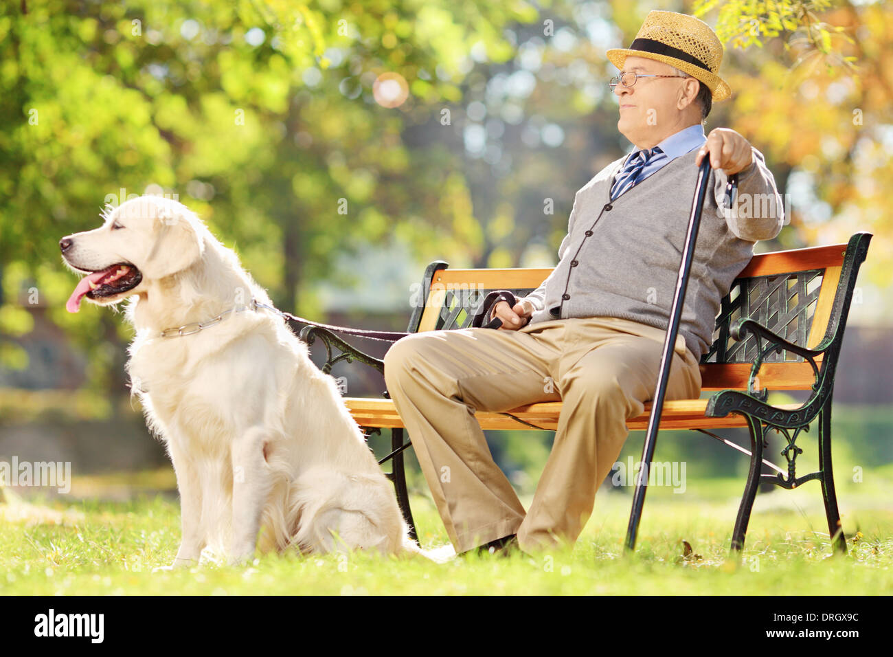 Senior gentleman seduto sulla panca di legno con il suo cane rilassante in un parco Foto Stock