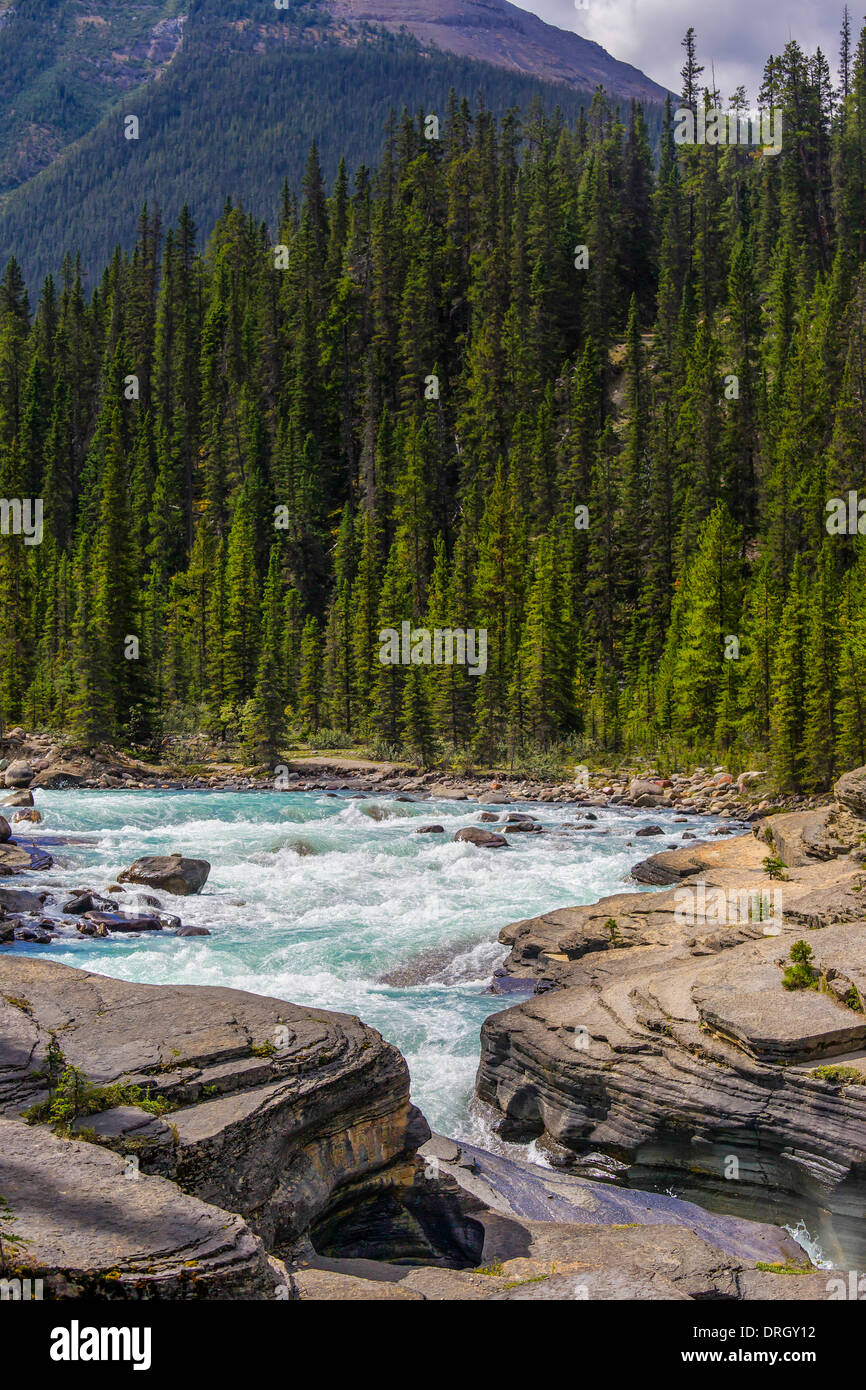 Vista di Mistaya Canyon nelle Montagne Rocciose Canadesi, il Parco Nazionale di Banff Alberta Foto Stock