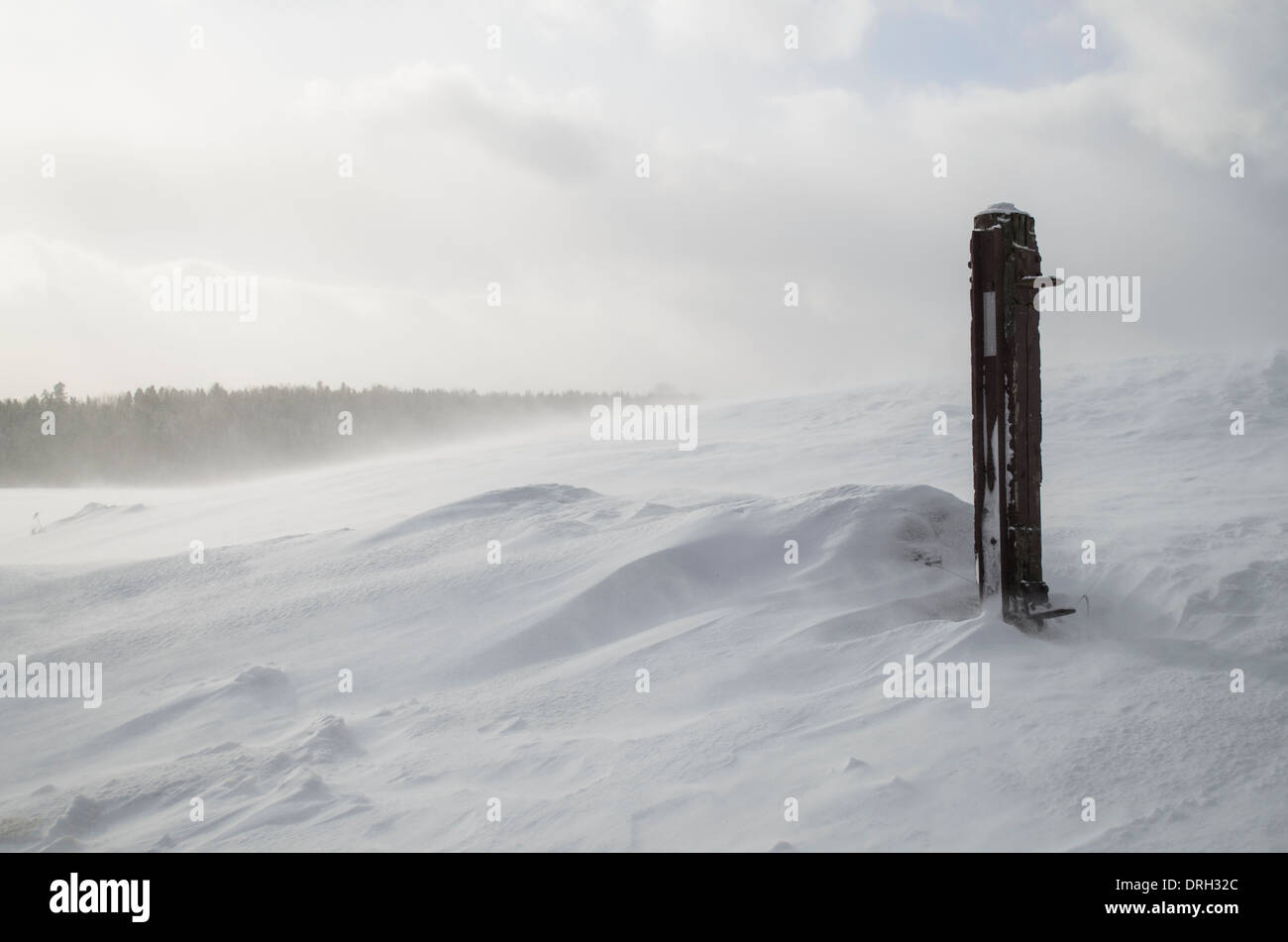 blizzard di inverno Foto Stock