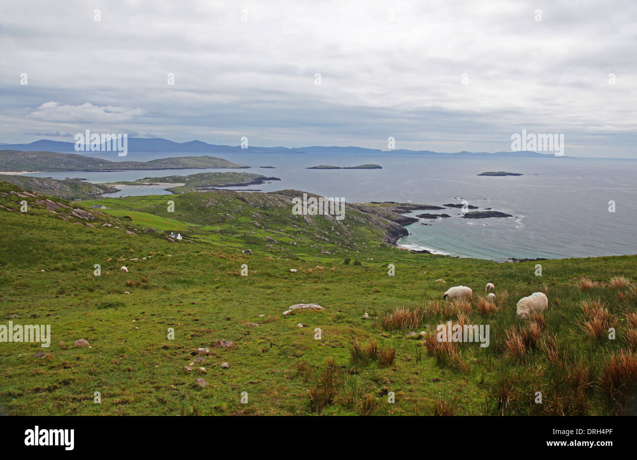 Anello di Kerry nella Contea di Kerry, Irlanda Foto Stock