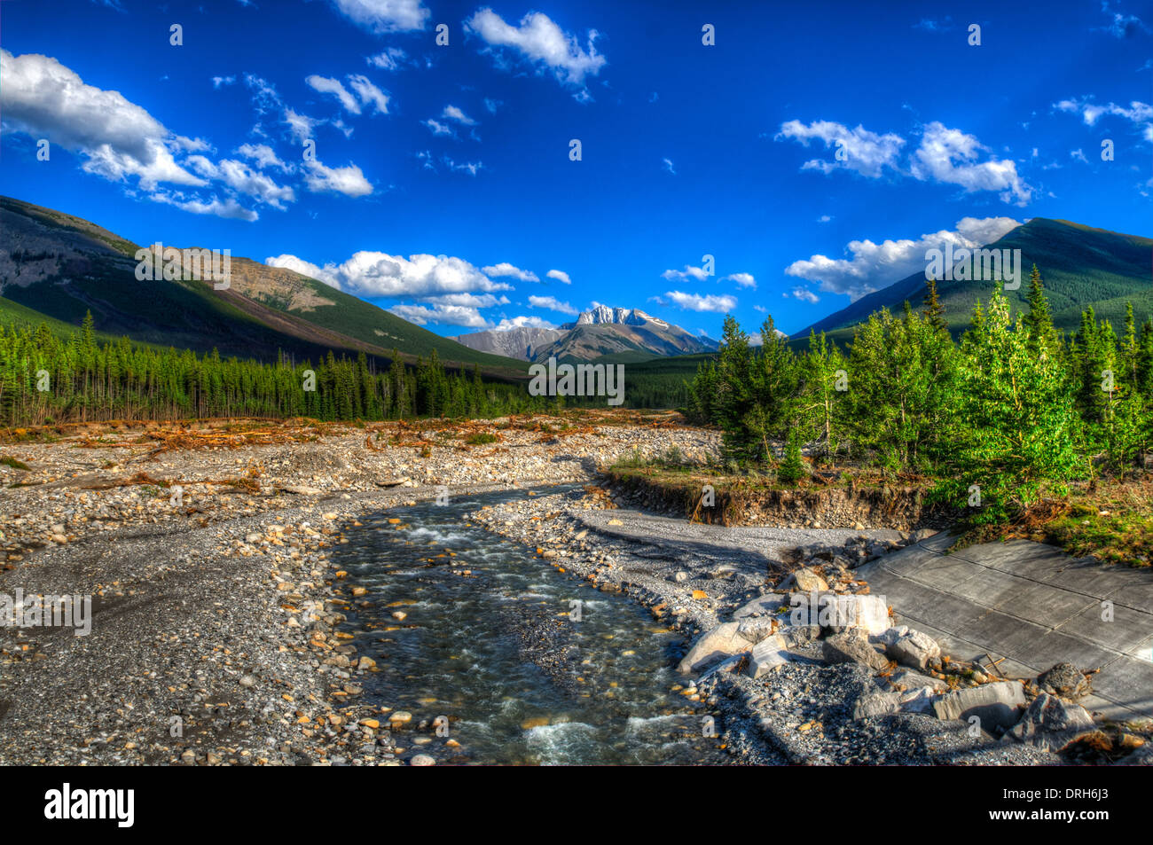 Dei danni provocati dalle inondazioni in un torrente di montagna Kananaskis Country Alberta Canada, 2013 Foto Stock