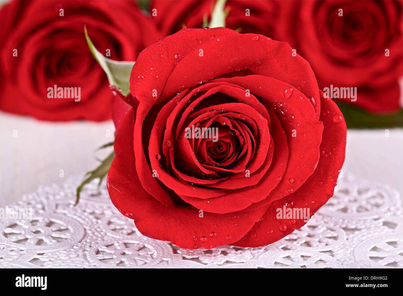 Rose rosse su bianco centrino Foto Stock