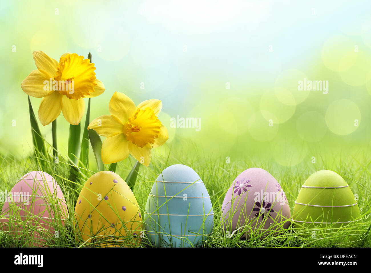 Le uova di pasqua di nascondere in erba con daffodil fiore Foto Stock