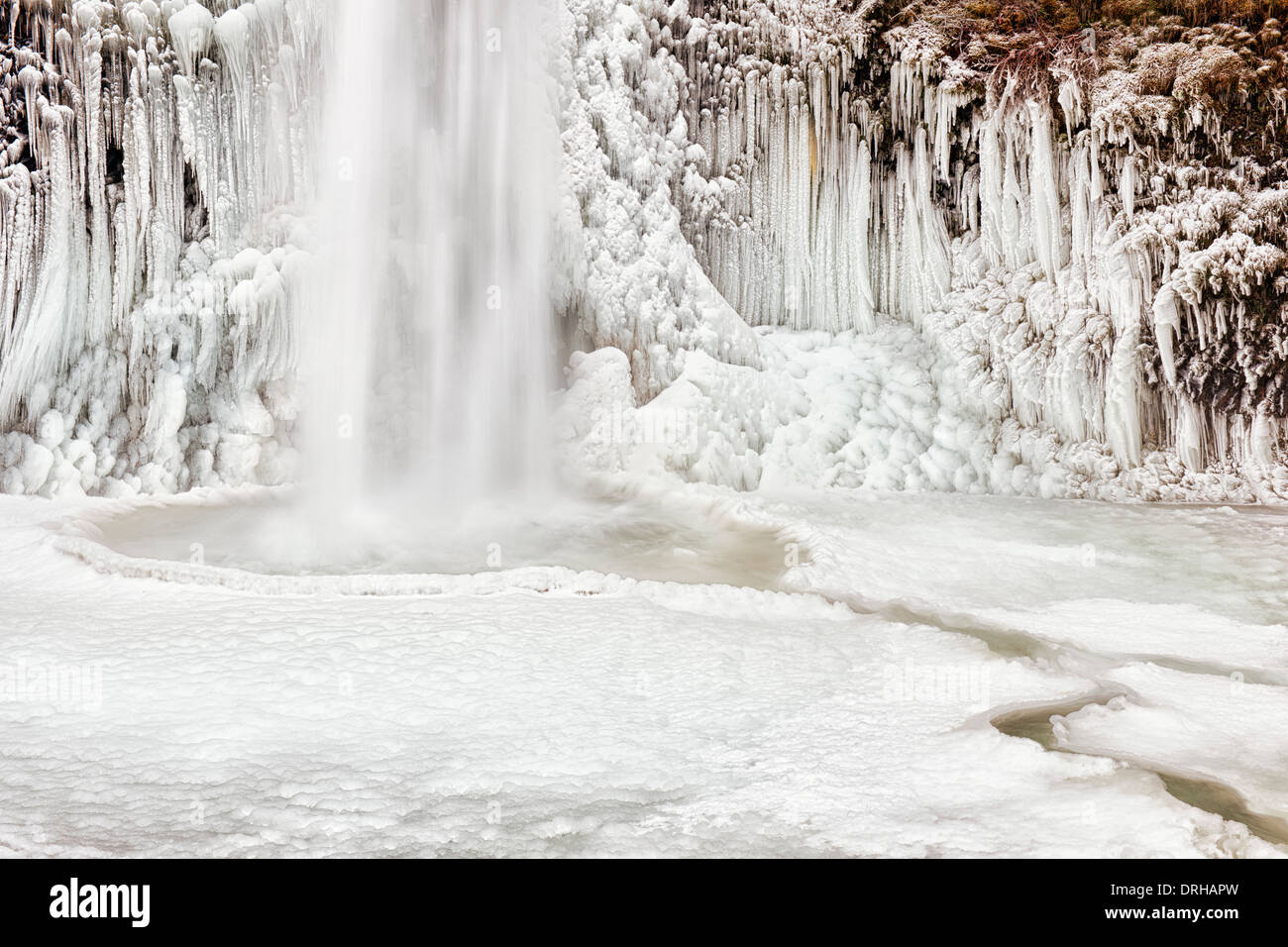 Condizioni di gelo di creare questi inverno spettacolari formazioni di ghiaccio a base di equiseto cade in Oregon la Columbia River Gorge Foto Stock