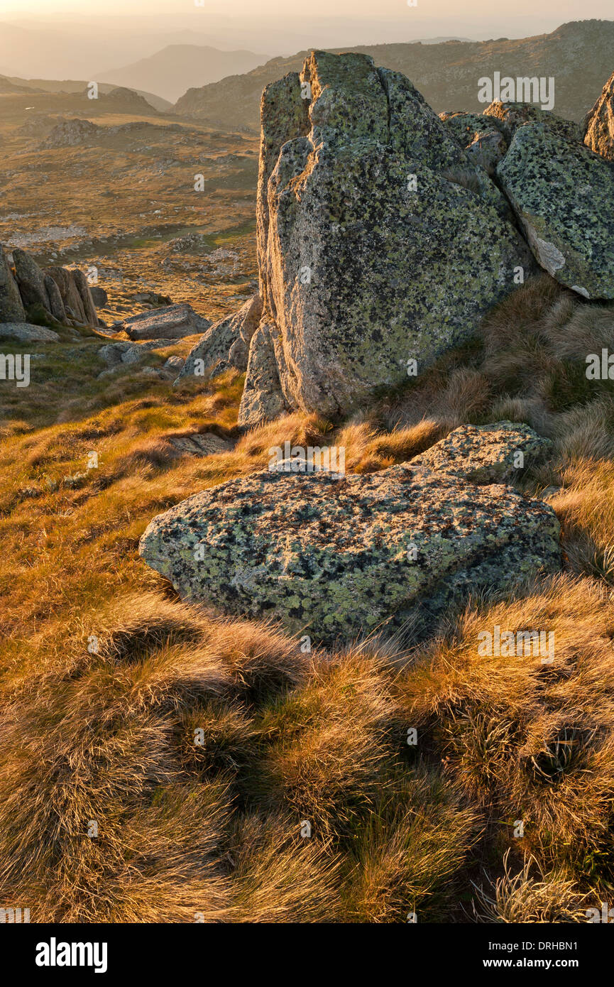 Sulla gamma principale a Kosciuszko National Park, New South Wales, Australia. Foto Stock