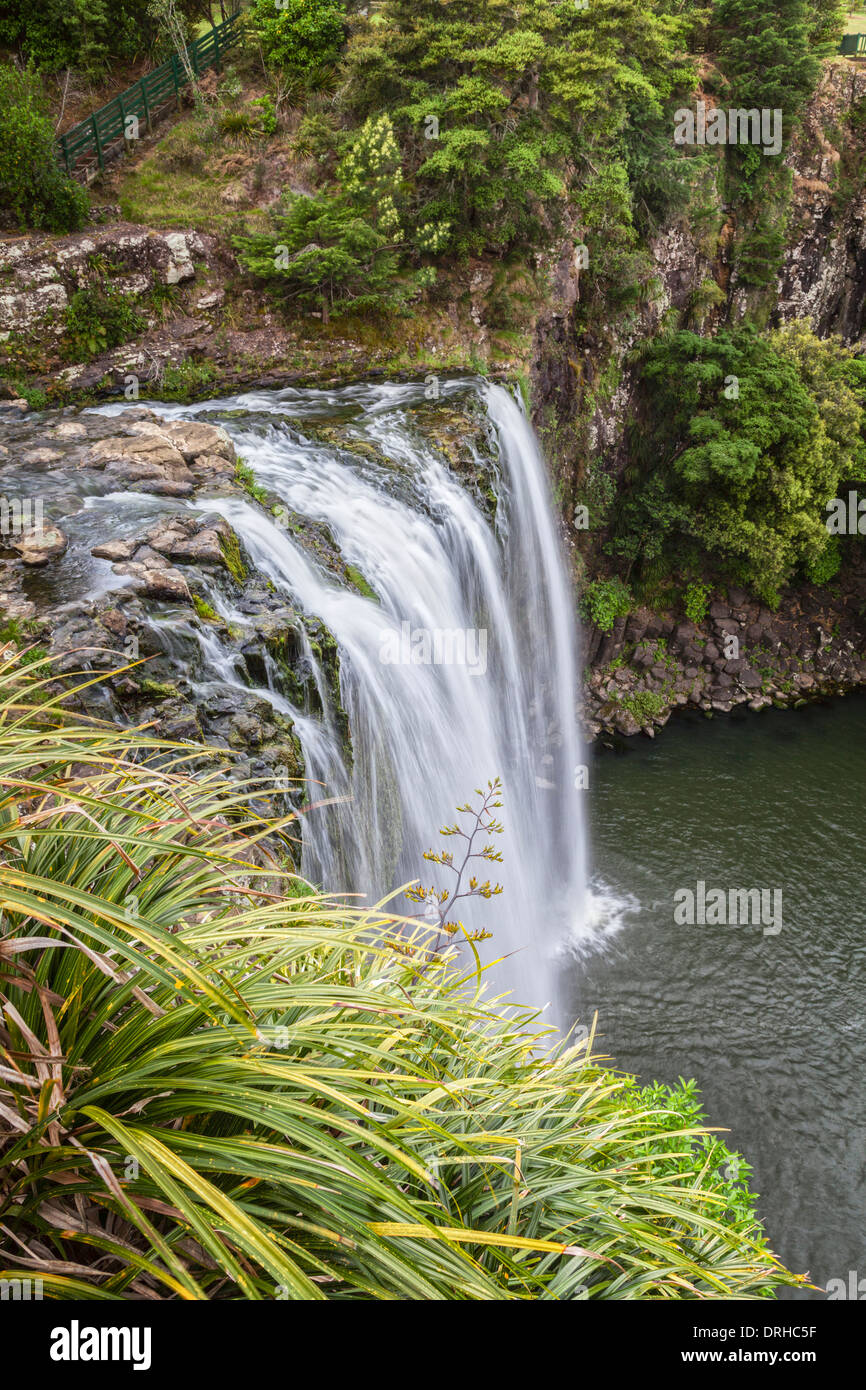 Whangarei cade sul fiume Hatea nel Northland e Nuova Zelanda. Foto Stock