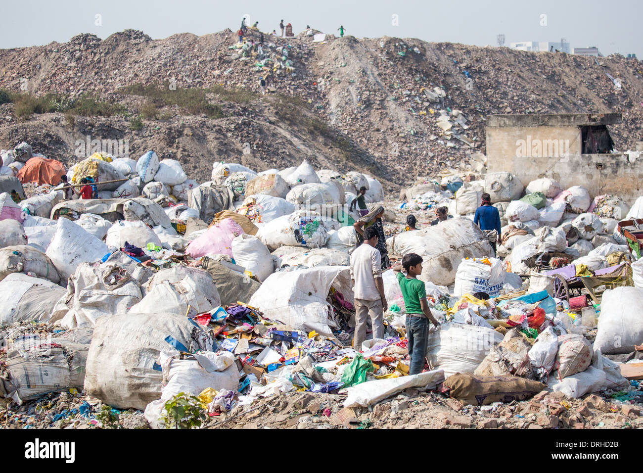 Raccoglitori ad una discarica di rifiuti a Delhi, India Foto Stock