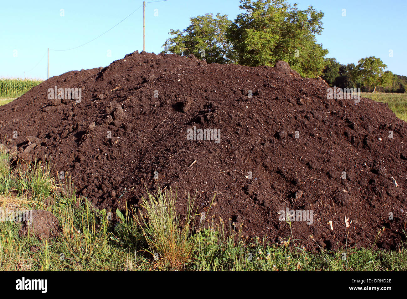 Il suolo agricolo per l'agricoltura e produzione biologica Foto Stock
