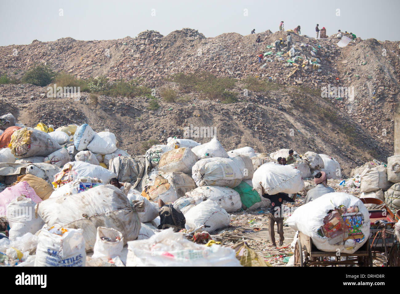 Raccoglitori ad una discarica di rifiuti a Delhi, India Foto Stock