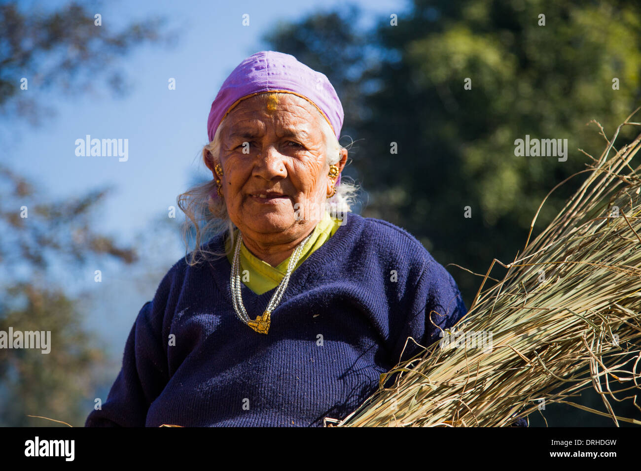 Donna di erba raccolta nelle colline sopra il Kathmandu, Nepal Foto Stock