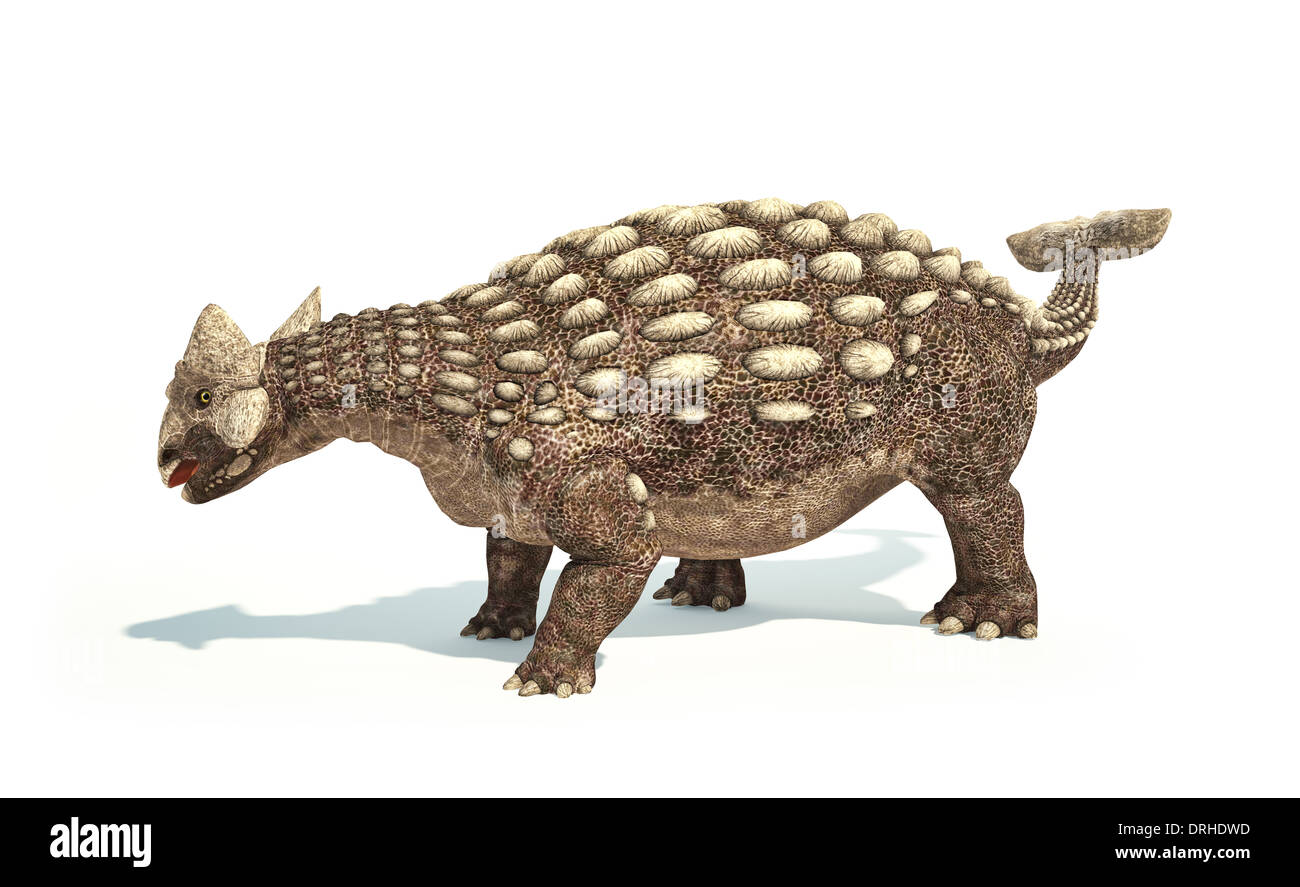 Dinosauro Ankylosaurus foto-realistica e scientificamente corretta rappresentazione. Postura dinamica. Su sfondo bianco. Foto Stock