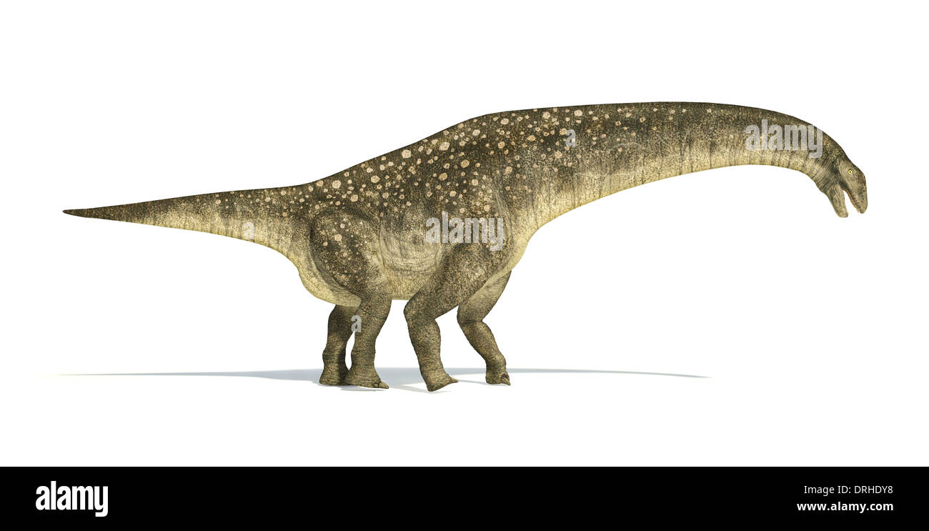 Titanosaurus dinosauro, foto-realistica e scientificamente corretta. Vista laterale. Su sfondo bianco con ombra. Foto Stock
