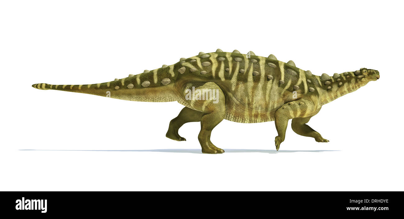 Dinosauro Talarurus, foto-realistico, scientificamente corretta rappresentazione. Vista laterale. Su sfondo bianco con ombra. Foto Stock