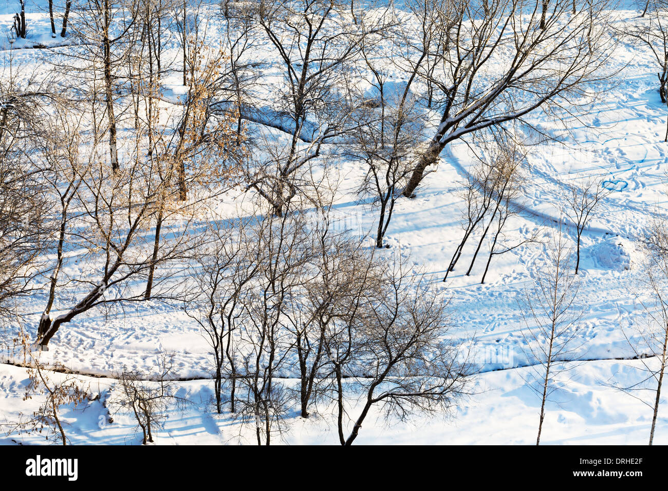 Al di sopra di vista di snowy parco urbano in inverno mattina Foto Stock