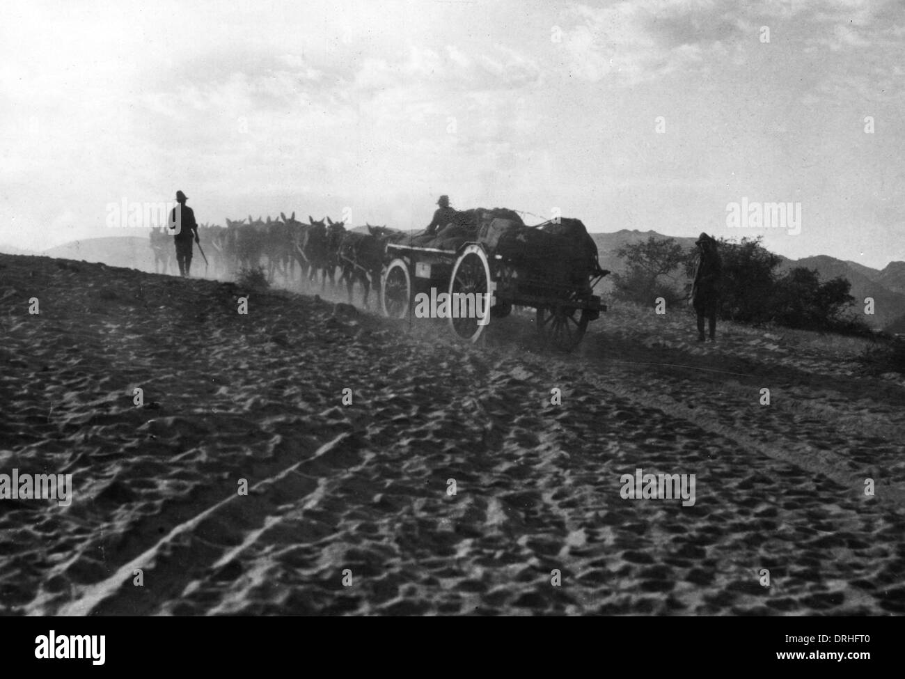 Mulo carri attraversando il deserto, Sud Africa, WW1 Foto Stock