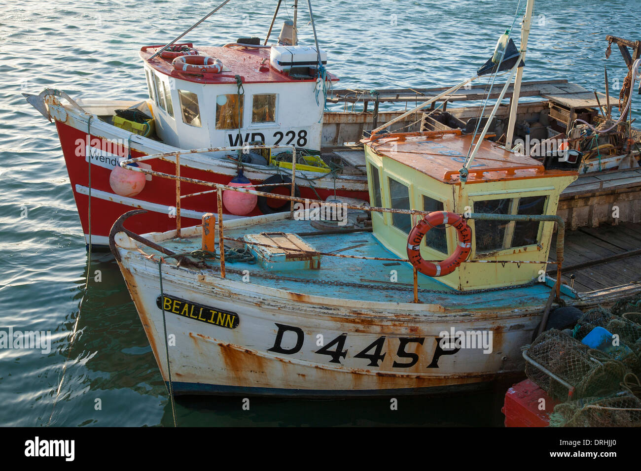 Barche da pesca in Howth Harbour, County Dublin, Irlanda. Foto Stock
