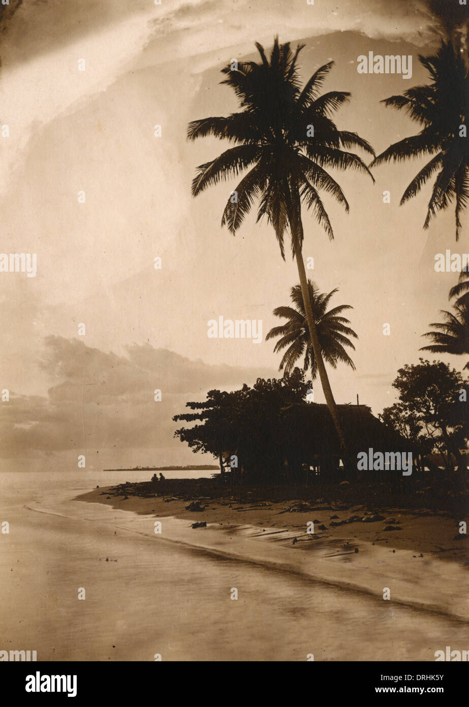 Tahiti - Scena costiere con palme Foto Stock