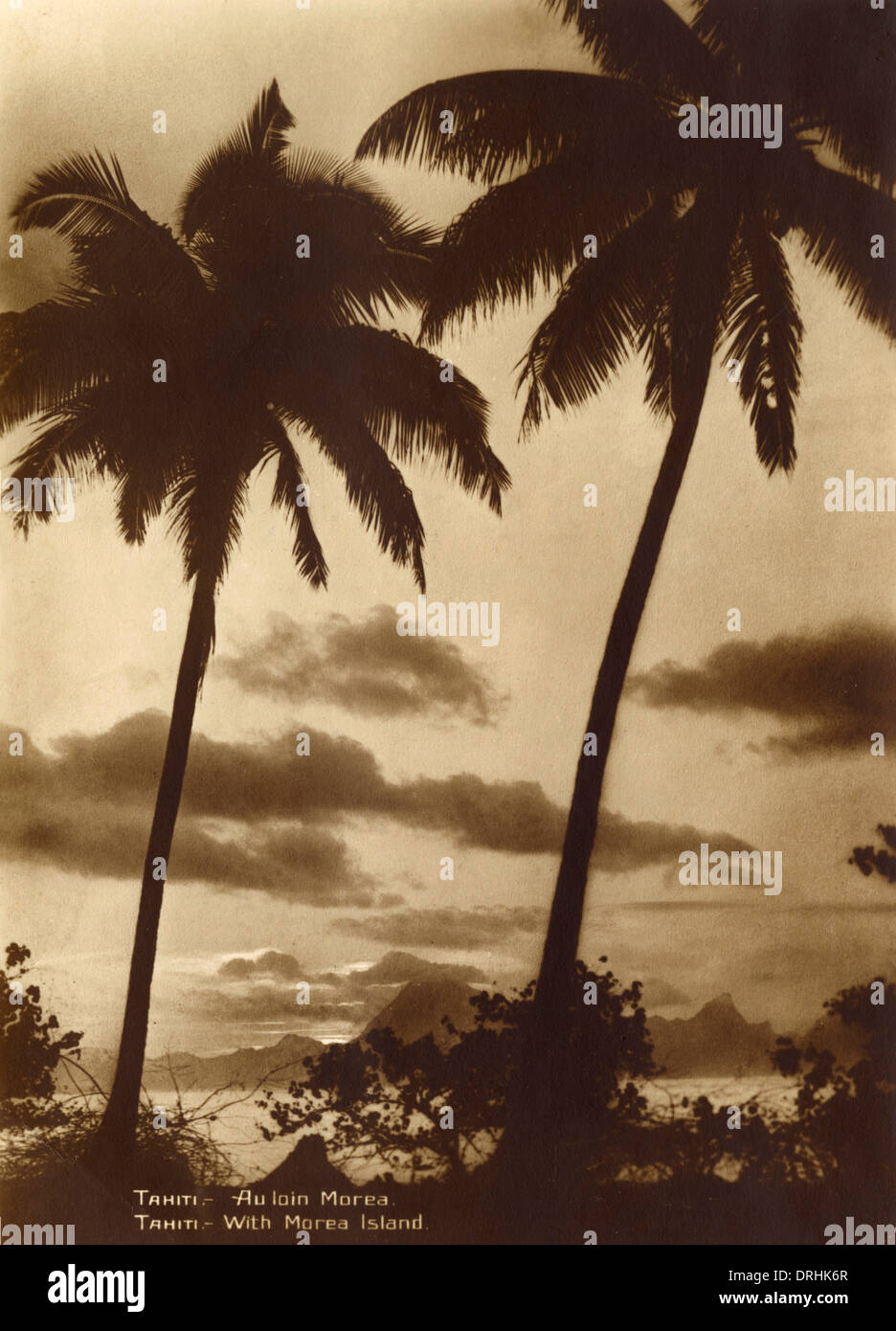 Tahiti - scena costiere con palme / Isola di Moorea Foto Stock