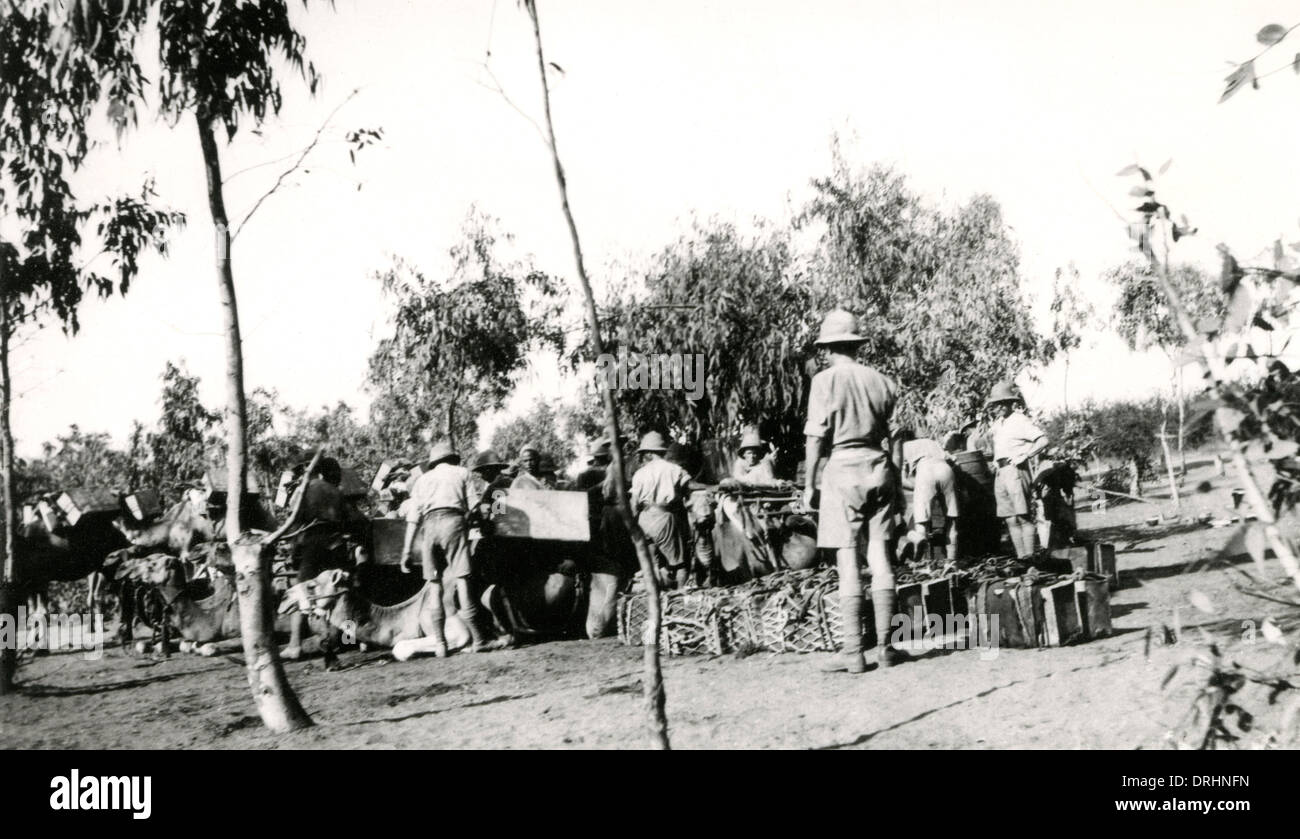 Truppe alleate con i cammelli, Mesopotamia, WW1 Foto Stock