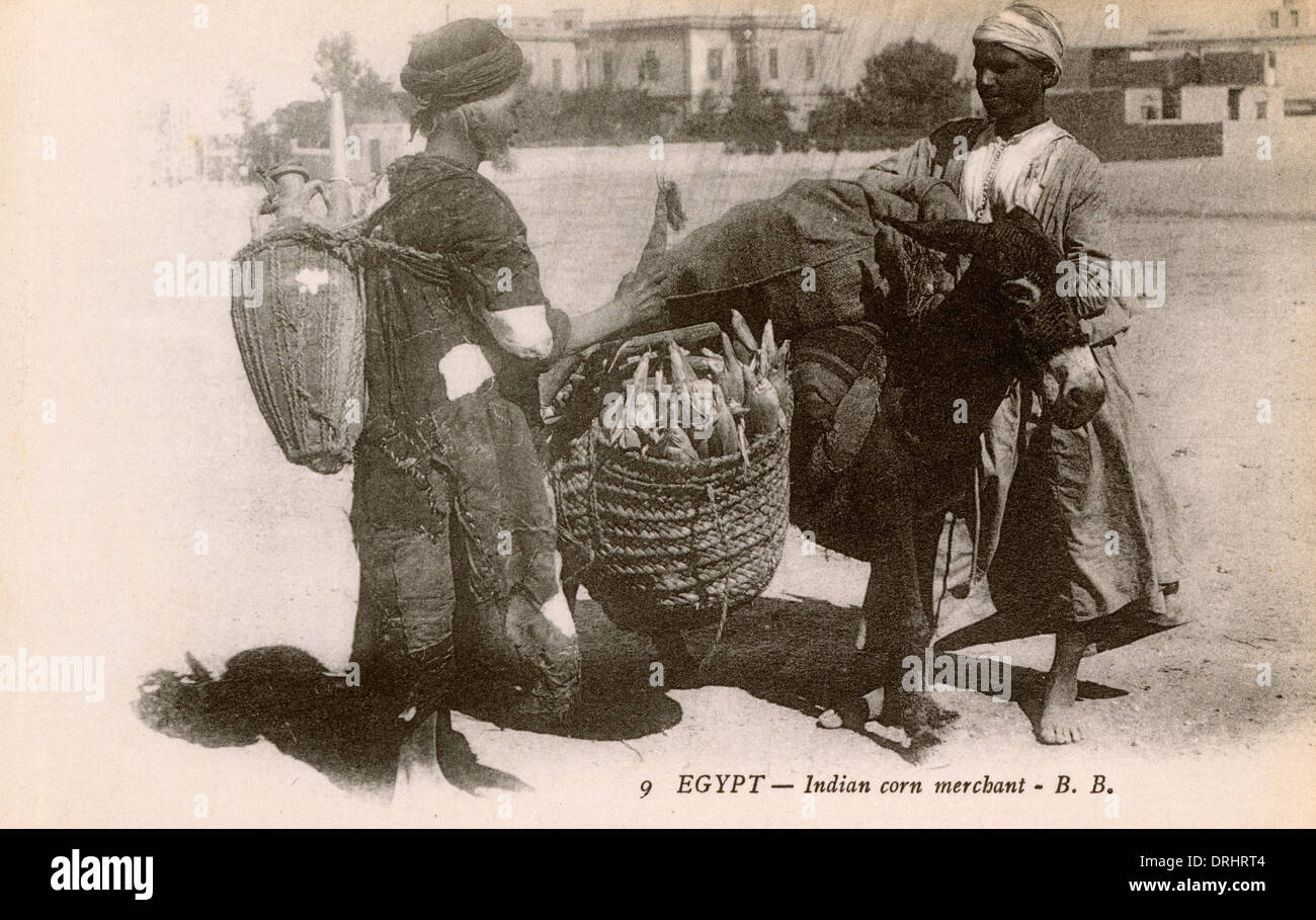 Egitto - mais Indiano Merchant con laden asino Foto Stock