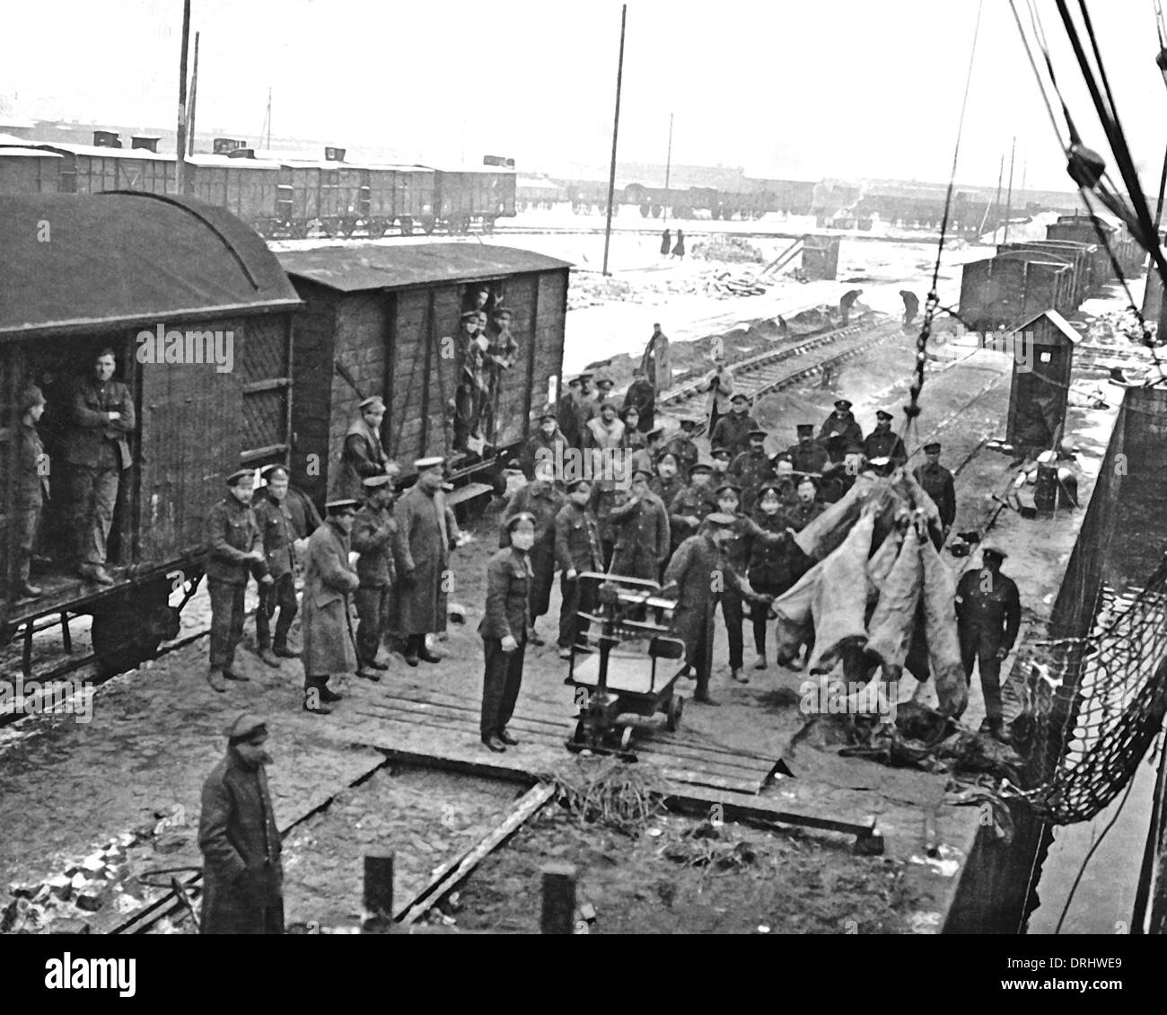 Carni di scarico dalla nave al treno, fronte occidentale, WW1 Foto Stock