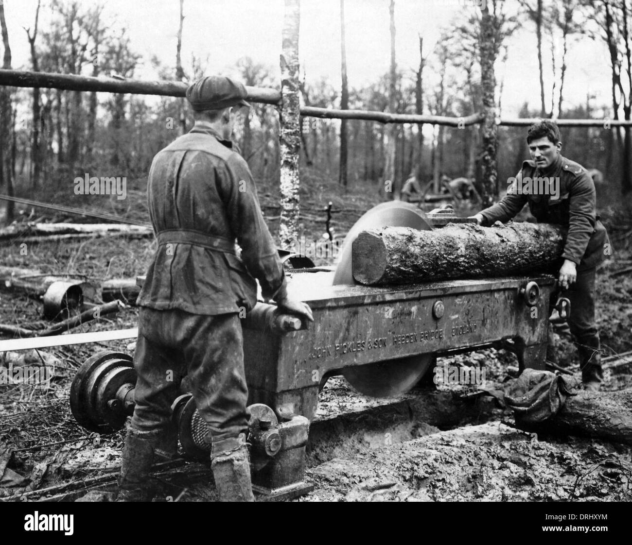 Registro di taglio a nuova segheria, fronte occidentale, WW1 Foto Stock
