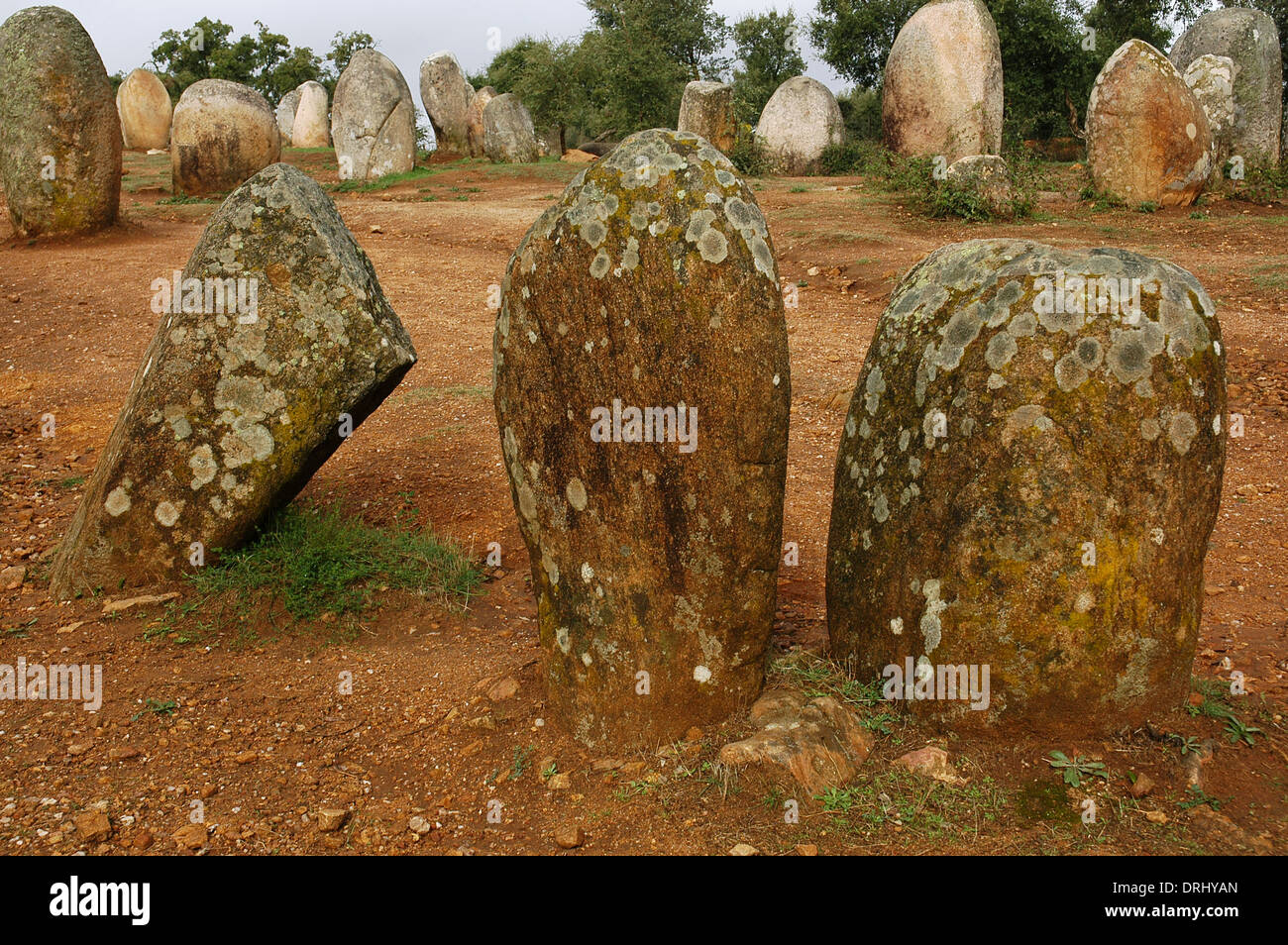 Il Portogallo. Vicino a Evora. Il Cromlech del Almendres. Complesso Megalitico: Cromlechs e menhir pietre. Neolitico. Foto Stock