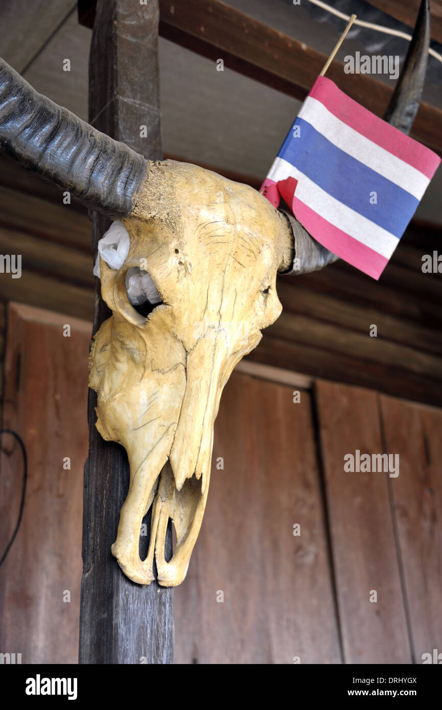 Bufalo d'acqua il cranio e la bandiera tailandese in una casa tradizionale in Kamphaeng Phet nelle pianure centrali della Thailandia. Foto Stock