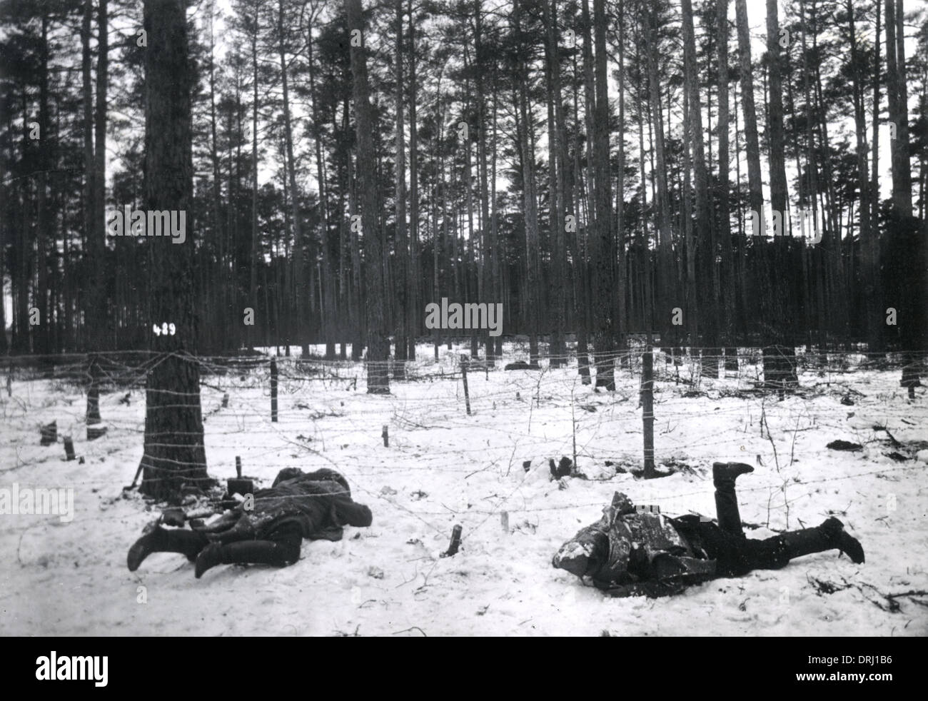 Morti i soldati russi a Augustowo, WW1 Foto Stock