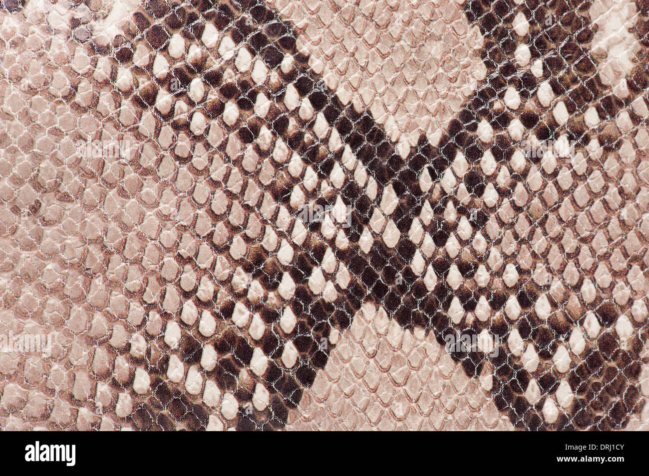 Macro dettaglio di Snake in pelle marrone Foto Stock
